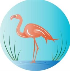 Flamencos Bahía Tours