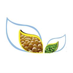 Grupo La Semilla de Oro SAC