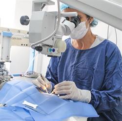 UNOVE Unidad de Oftalmología Veterinaria