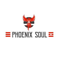 Taekwondo Phoenix Soul