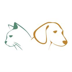 Animals Petshop - Spa canino
