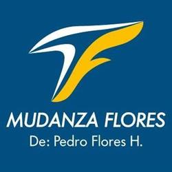 Mudanzas Lince