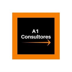 A1 Consultores