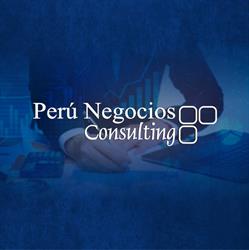 Peru Negocios Consulting SAC