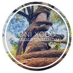 Organización Intercultural Oni Xobo