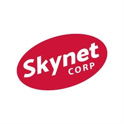 SKYNET Consultoría Digital y Sistemas