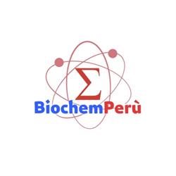 Biochem Perú Lab