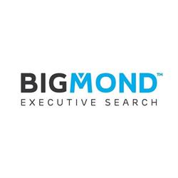 BIGMOND GROUP