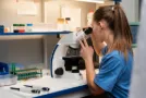 Laboratorio Veterinario
