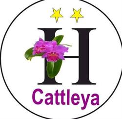 Hotel Cattleya Satipo