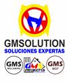 GMSOLUTION Soluciones expertas